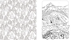 New Beautiful Nature Coloring Book Colorear