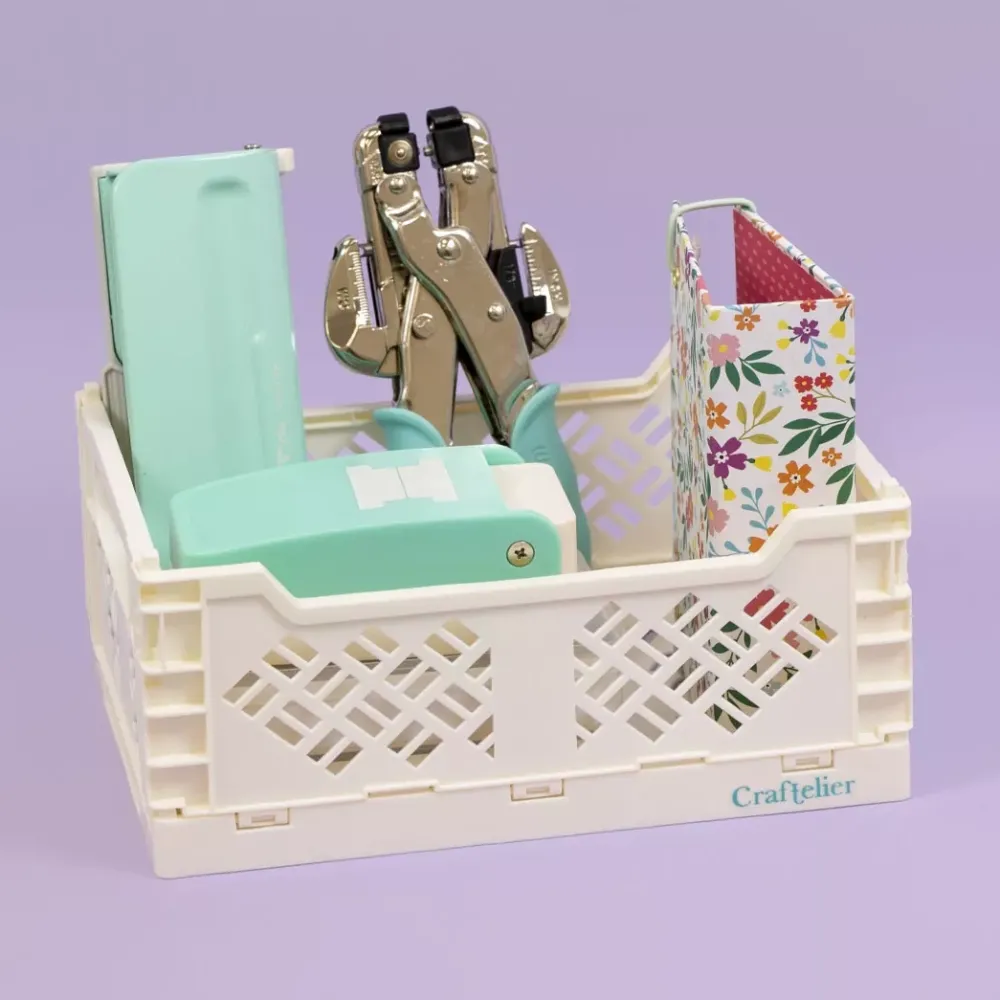 New Caja de almacenamiento plegable Grande Blanca Organización