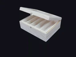 New Caja para plumas Organización