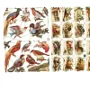 Clearance Cromos Vintage Pájaros Papeles