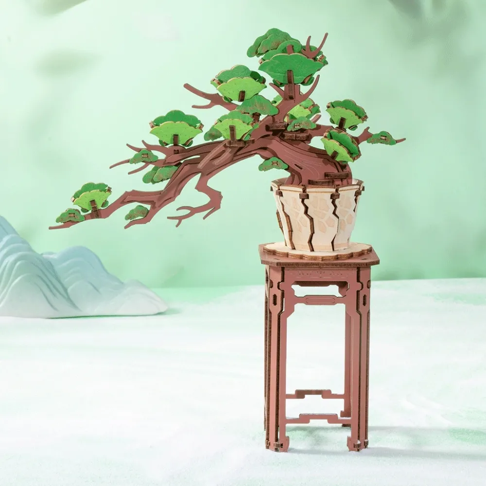 Hot Maqueta Evergreen Pine Bonsai Maquetas Y Modelismo