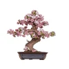 Maqueta Sakura Bonsai Maquetas Y Modelismo