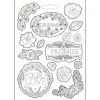 New Molde Flexible Dreams Romantic Garden of Promises 14x21cm Herramientas Para Modelado|Pastas Moldeables