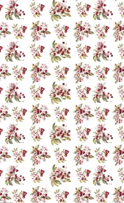 Clearance Papel de Arroz Cherrys V Fruits Market 54x33cm Papel Y Decoupage