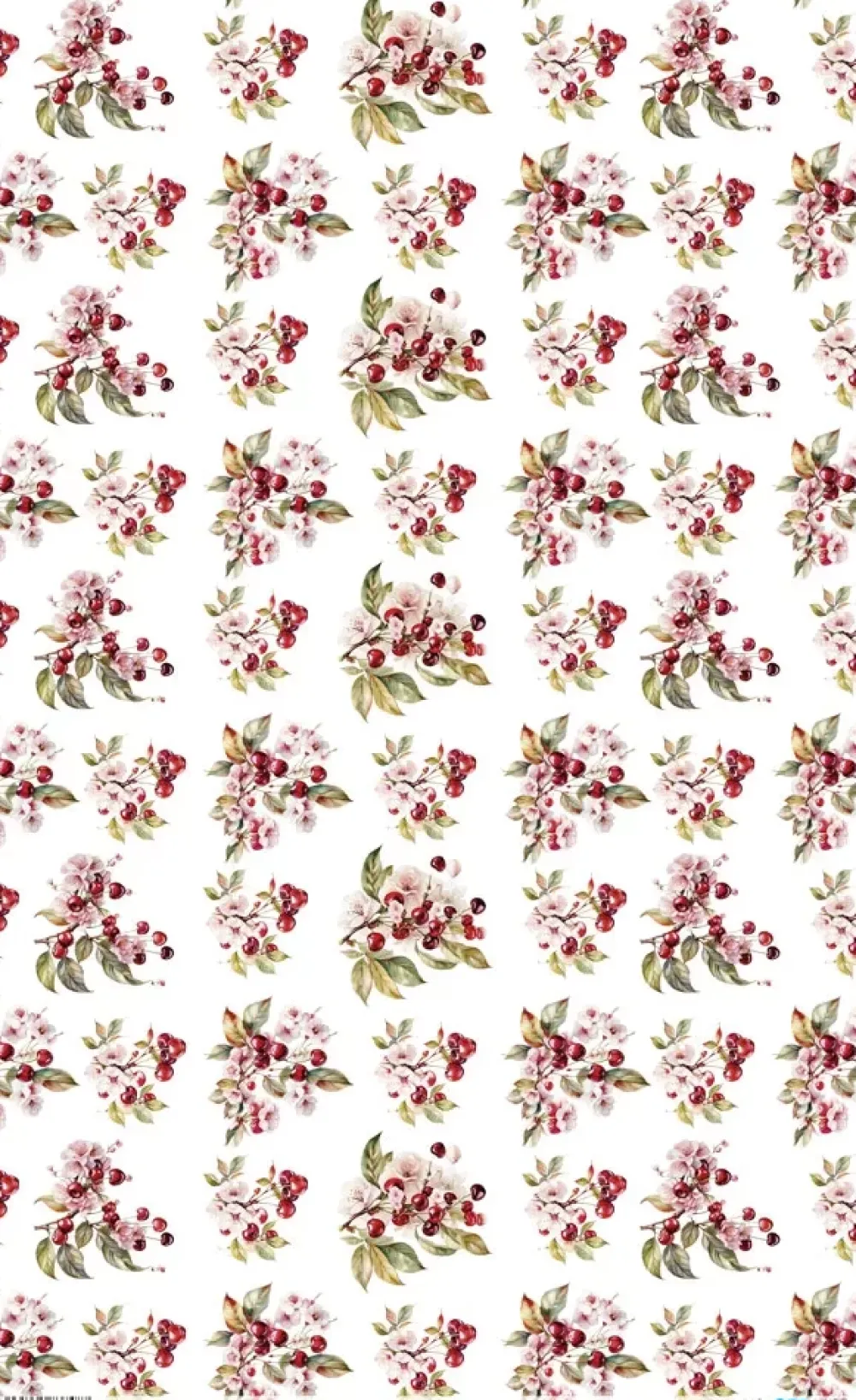 Clearance Papel de Arroz Cherrys V Fruits Market 54x33cm Papel Y Decoupage
