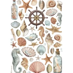Papel de arroz Conchas Best Sellers 21x30cm Papeles|Decoupage