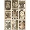 Best Papel de arroz Corsés Old Lace 21x30cm Papeles|Decoupage