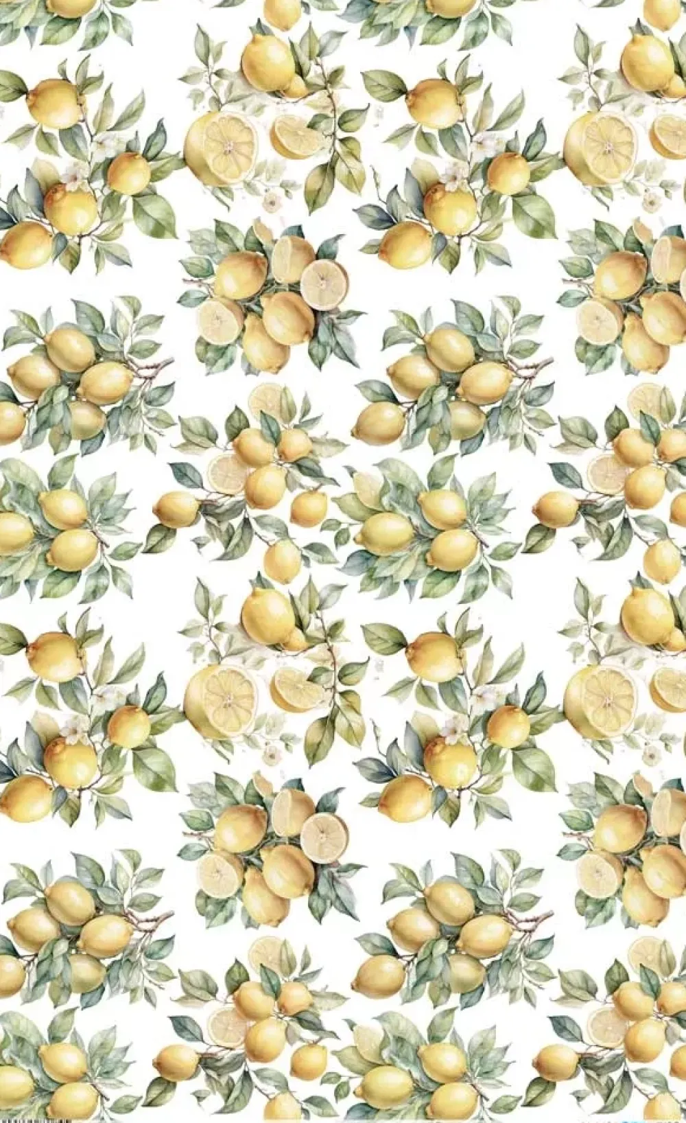 Best Papel de Arroz Lemon VII Fruits Market 54x33cm Papel Y Decoupage