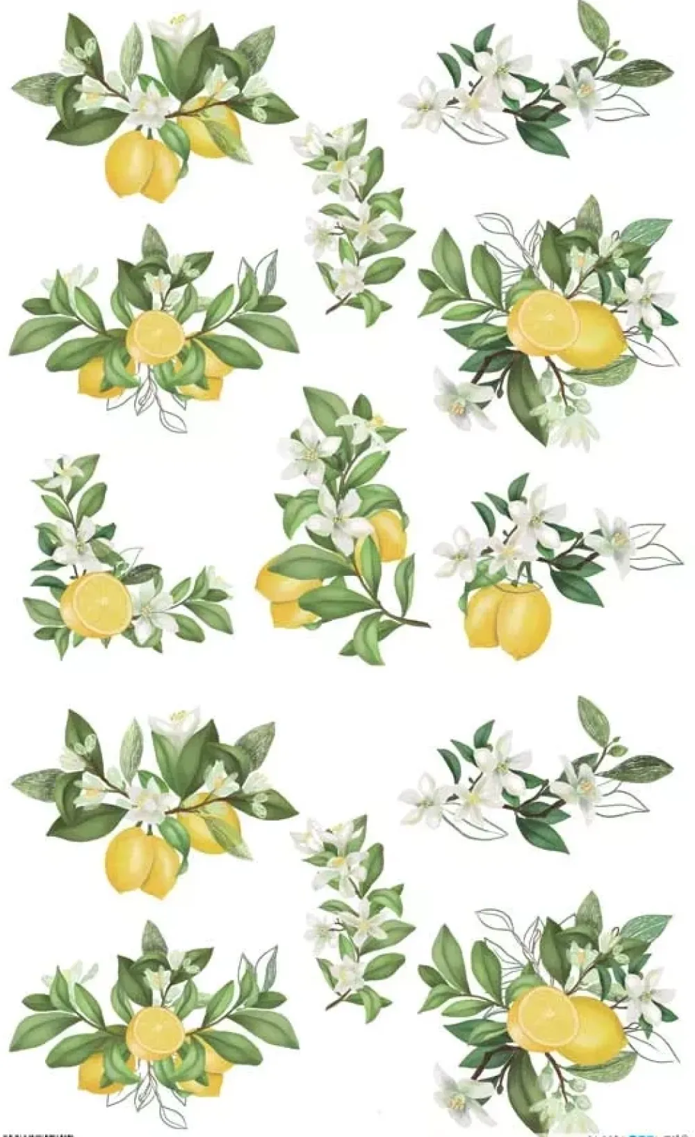 Sale Papel de Arroz Limonero 54x33cm Decoupage|Papeles
