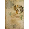 Best Papel de Arroz Mushrooms III Botanical Book 54x33cm Decoupage|Papeles