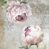 Hot Papel de Arroz Peonies II La Vie en Fleurs 54x33cm Papeles|Decoupage