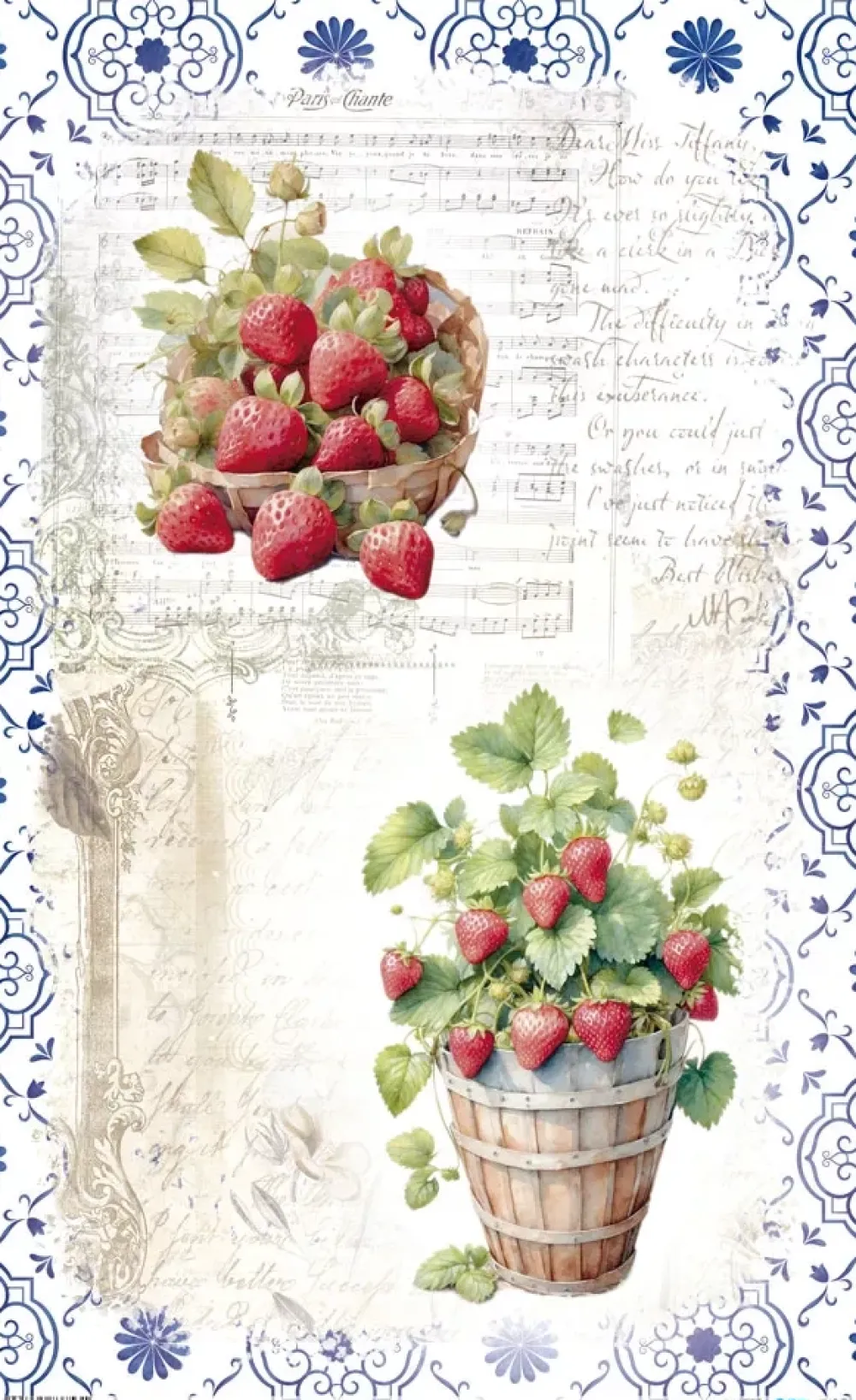 Clearance Papel de Arroz Strawberry II Fruits Market 54x33cm Papel Y Decoupage