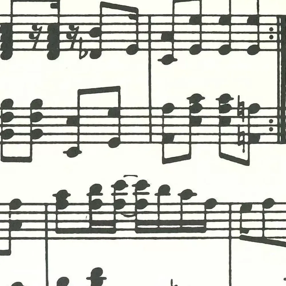 New Papel Notas musicales Papeles