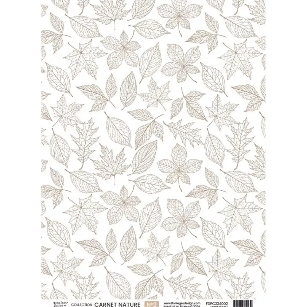 Clearance Papel vellum 02 Carnet Nature A4 Papeles