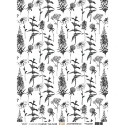 Papel vellum 01 Carnet Nature A4 Papeles