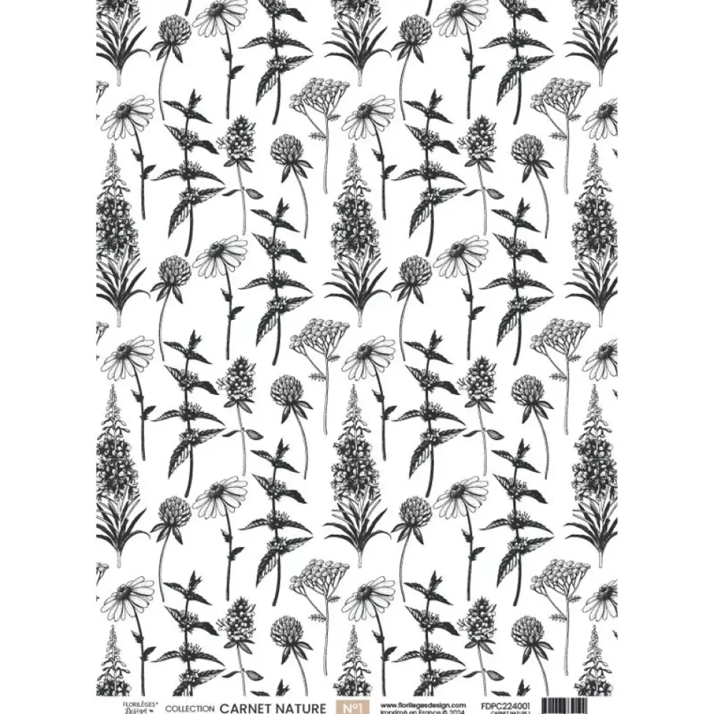 Papel vellum 01 Carnet Nature A4 Papeles