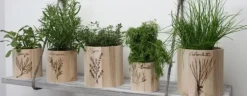 Sale Pirograbador con 5 Puntas Herramientas Para Madera