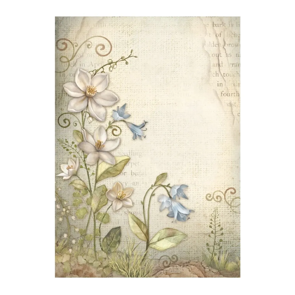 Set 8 papeles de arroz Backgrounds Romantic Hidden Grove 10x15cm Papeles|Decoupage