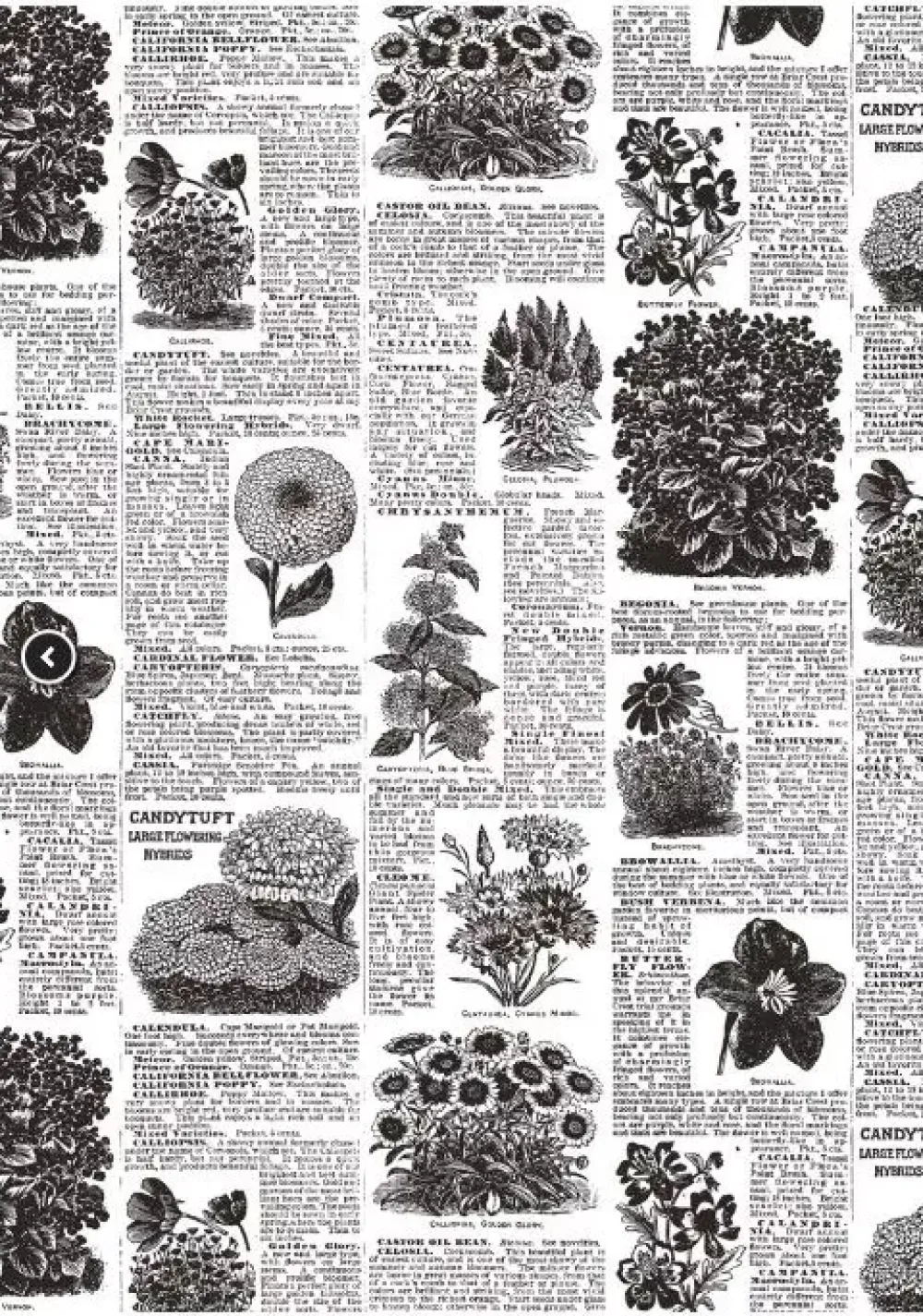 Set 4 papeles para decoupage Collector Diary IV A4 Decoupage