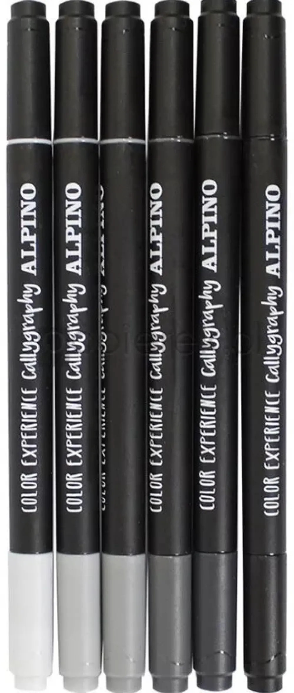 Clearance Set 6 Rotuladores Caligrafía Doble Punta Color Experience Rotuladores