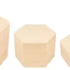 Set de 3 Cajas de Madera Hexagonales Maderas|Organización