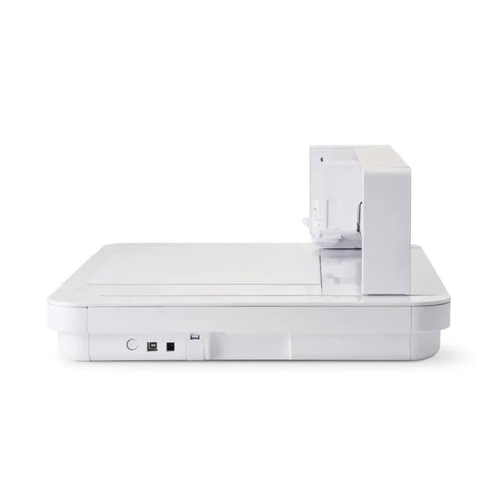 Clearance Curio 2 Silhouette