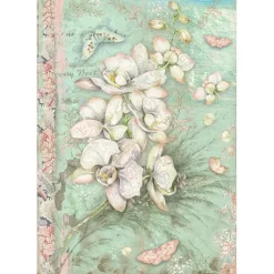 Clearance SUPER OFERTA **30%** Papel de arroz Orquídea Blanca Orchids and Cats 21x30cm Papeles|Decoupage