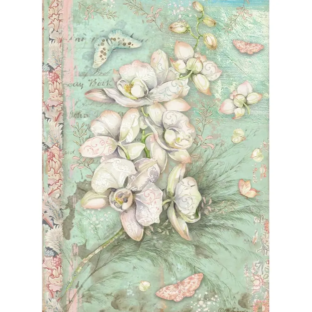 Clearance SUPER OFERTA **30%** Papel de arroz Orquídea Blanca Orchids and Cats 21x30cm Papeles|Decoupage