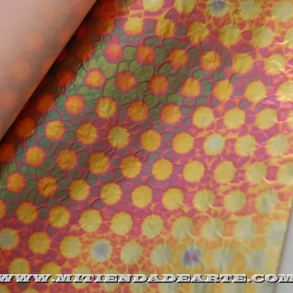 New Variegatto Nº 232 Doraduras