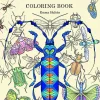 Hot Wonderful Insects Coloring Book Colorear